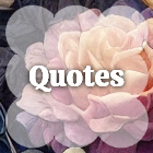 Quotes